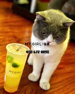 蜜菓,奶茶加盟店