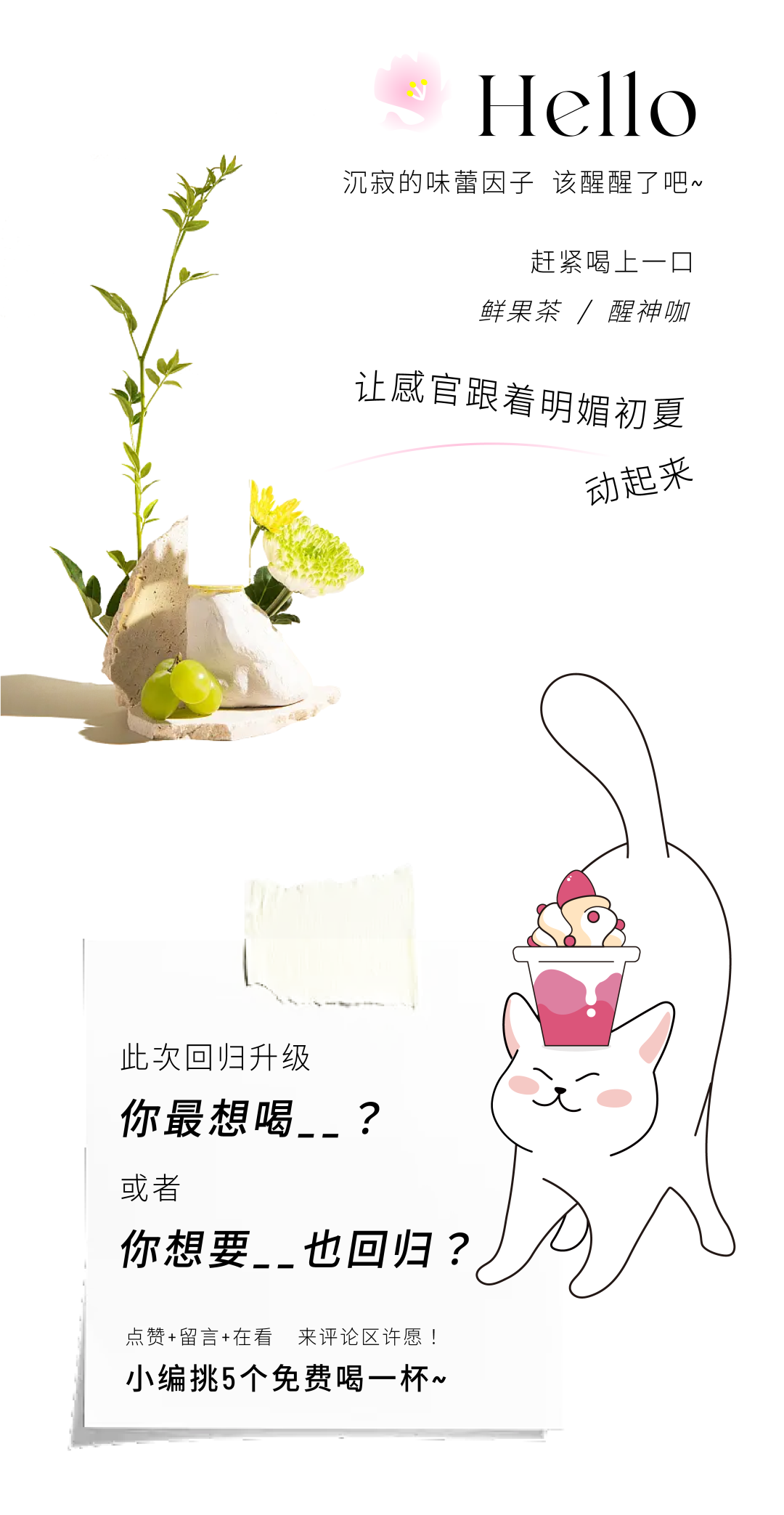 蜜菓奶茶，奶茶加盟